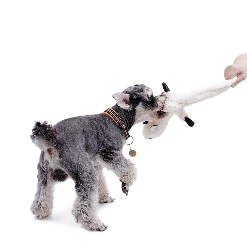 Honking Dog Squeaky Toy