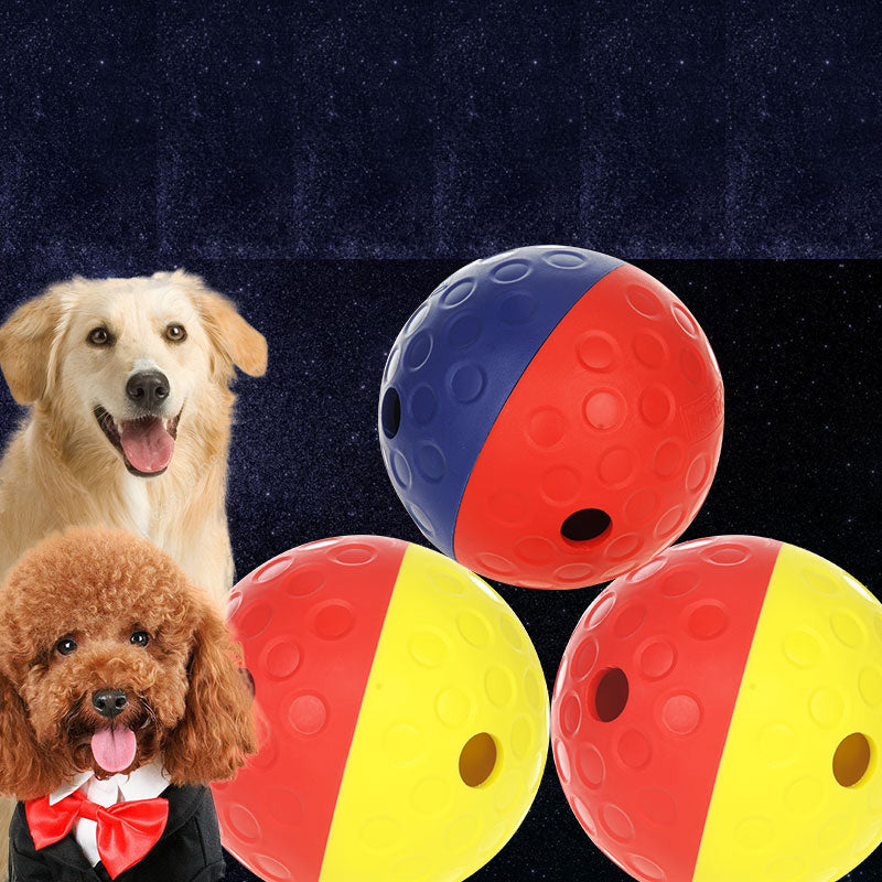Dog Treat Tumble Ball