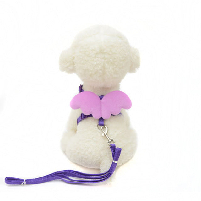 Cute Wings Dog Safety Harness